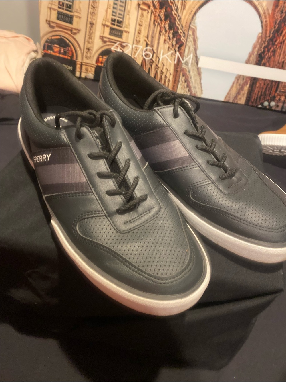 Sperry Men's Black and Gray Perforated Low-Top Sneakers
